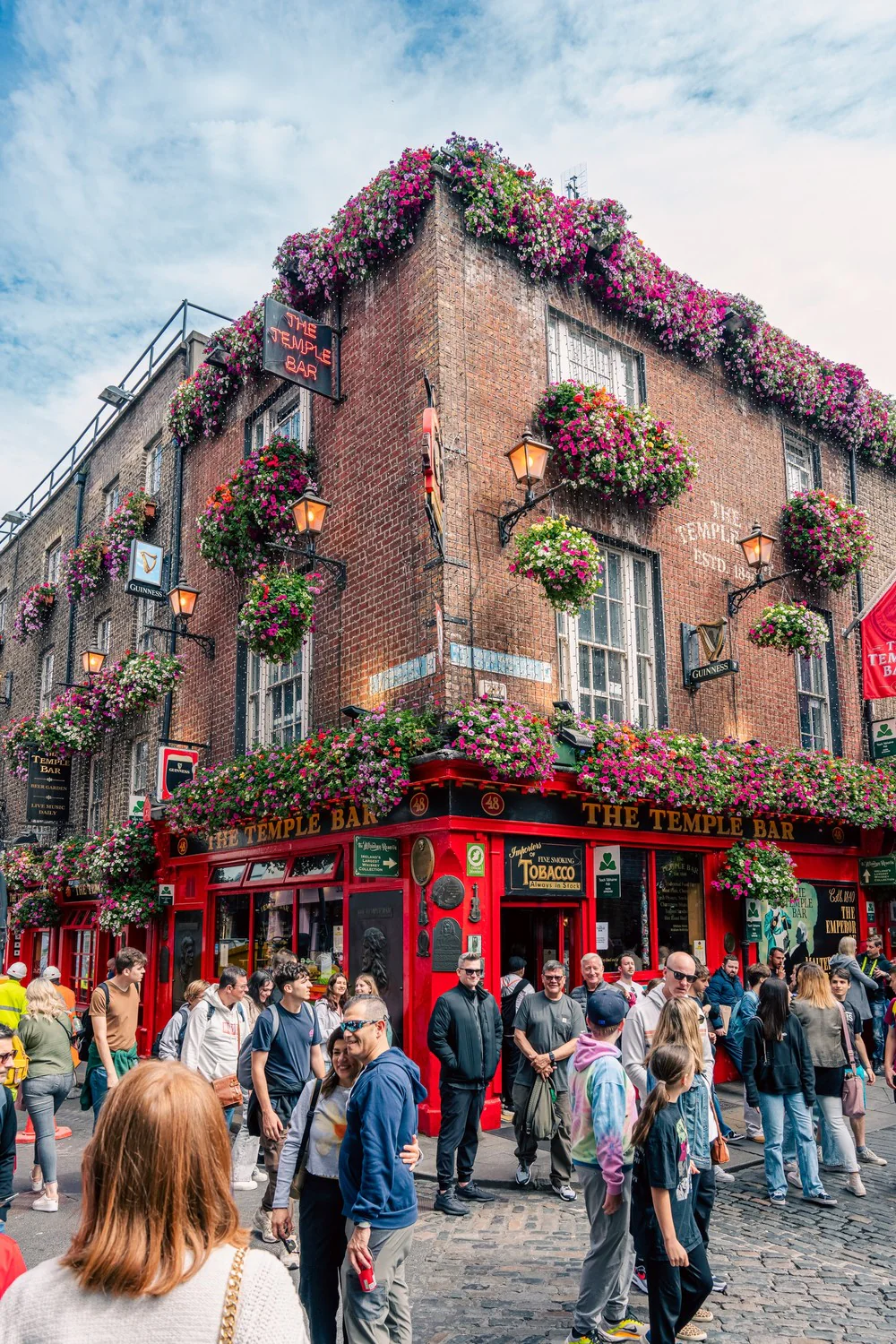 Dublin Walking Tour - Image 3